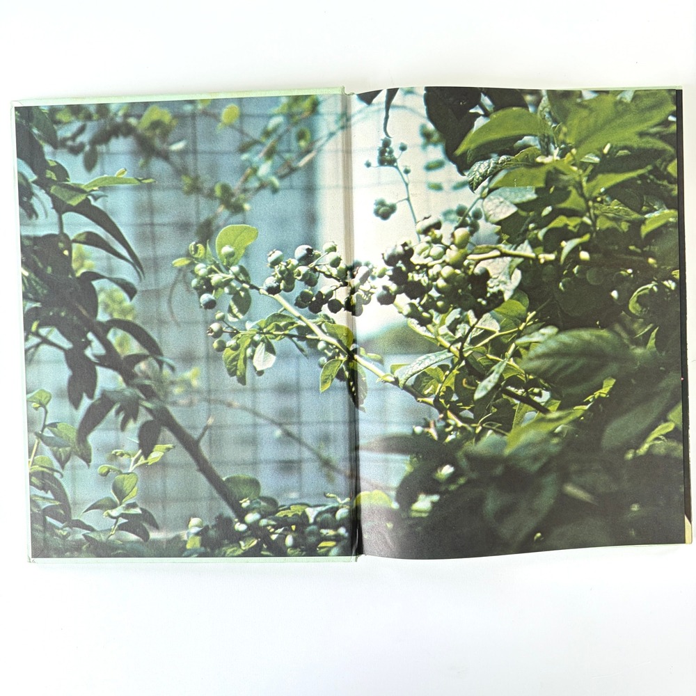 Home & City Gardener Roy Hay 1975 Vintage Hardcover Book Floral Art Cover - Picture 7 of 8
